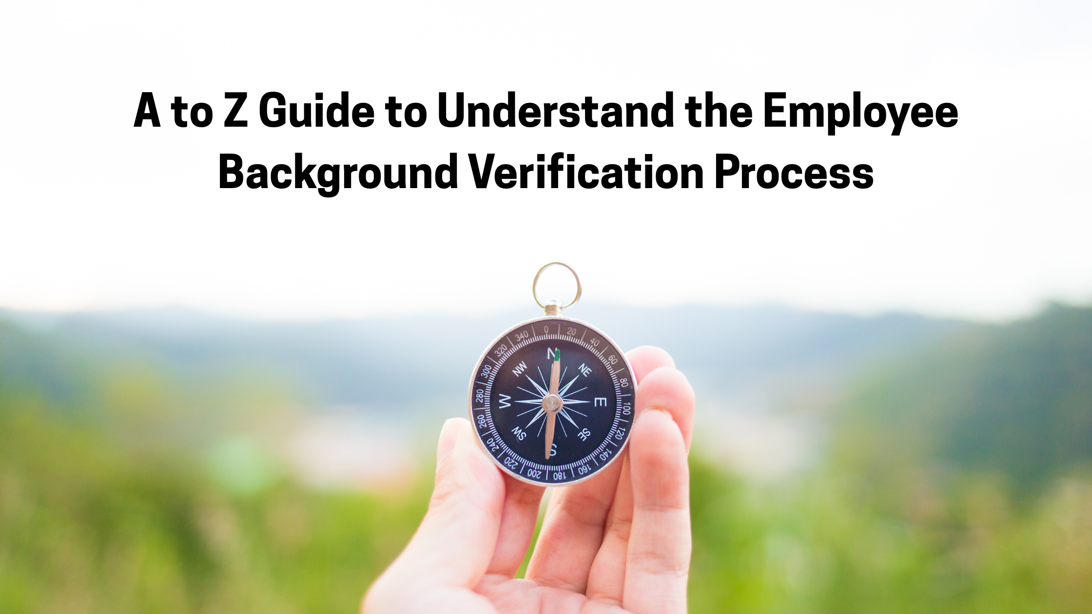 Background Verification Process